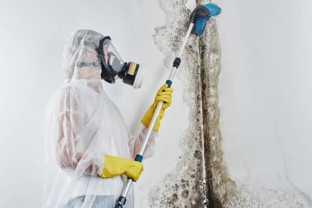 Water Damage Restoration in Jackson, CA