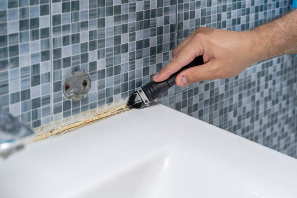 Best Office Mold Removal Services  in Jackson, CA